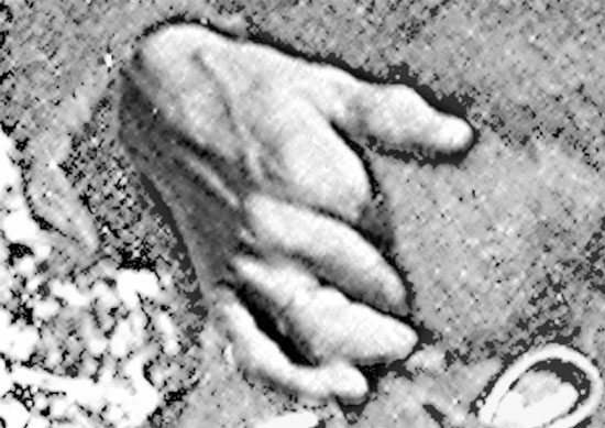 image.jpeg